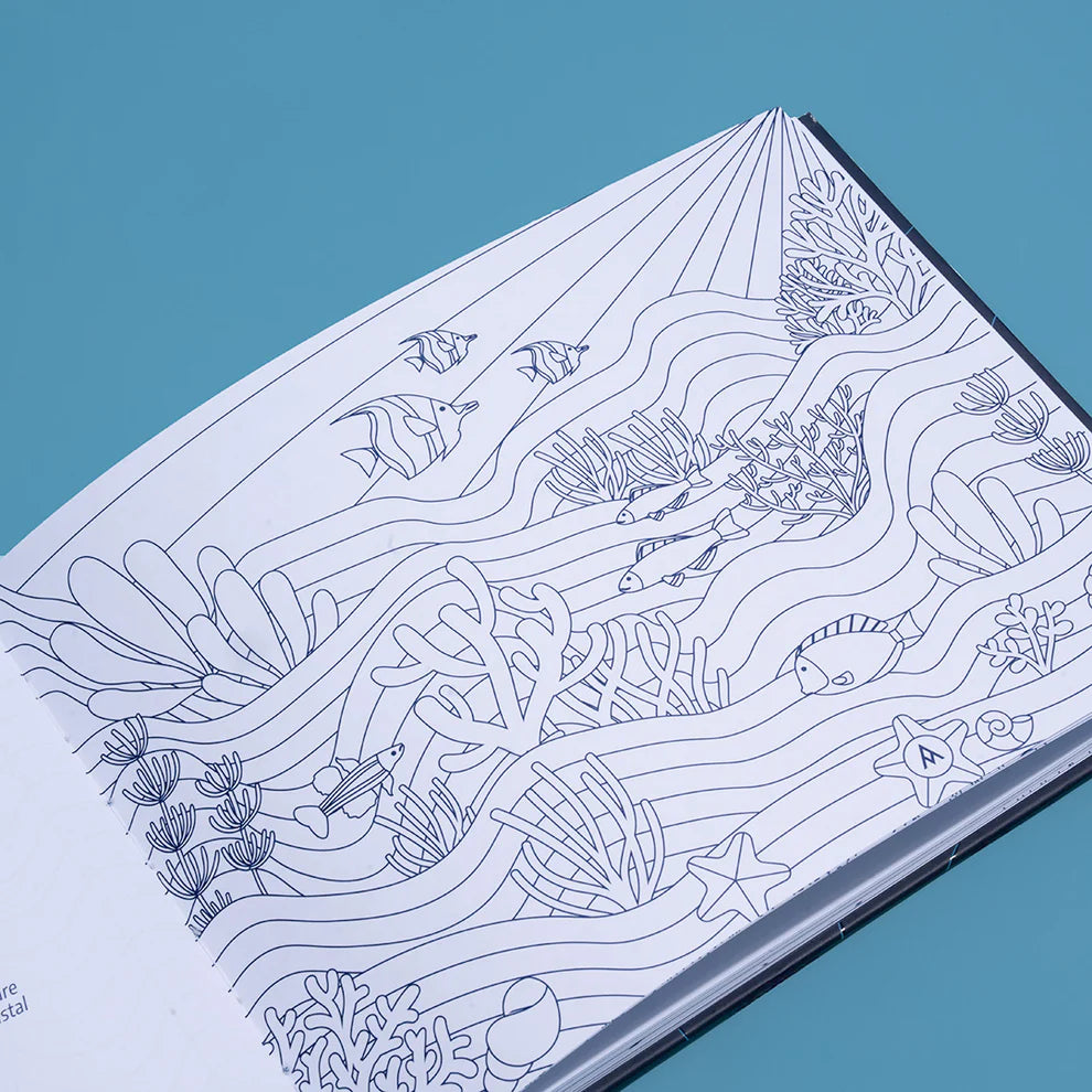Mandalas en el Mar