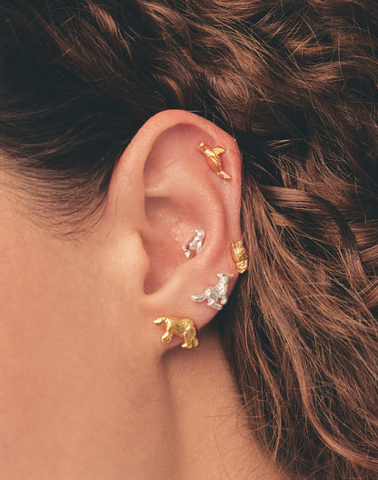 Set de 5 Aretes Boreales